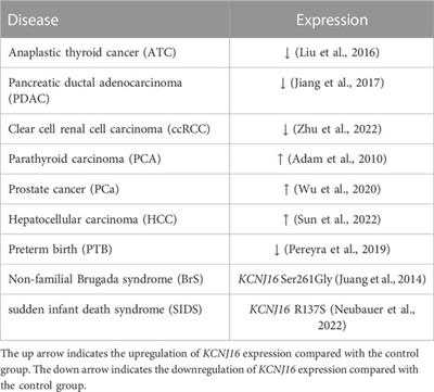 Frontiers | Diverse functions of the inward-rectifying potassium 